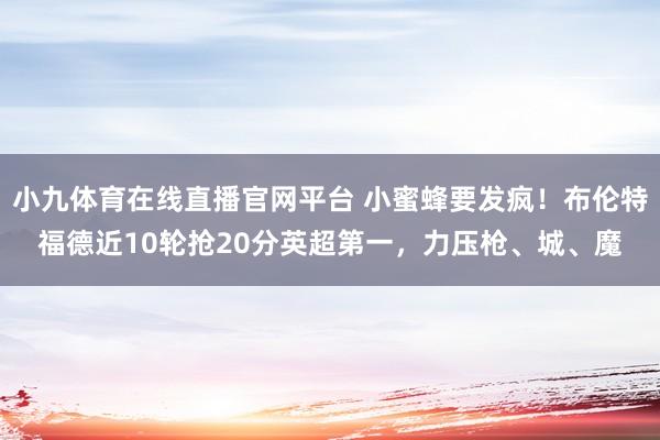 小九体育在线直播官网平台 小蜜蜂要发疯！布伦特福德近10轮抢20分英超第一，力压枪、城、魔
