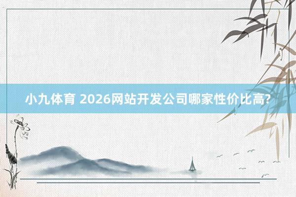 小九体育 2026网站开发公司哪家性价比高?