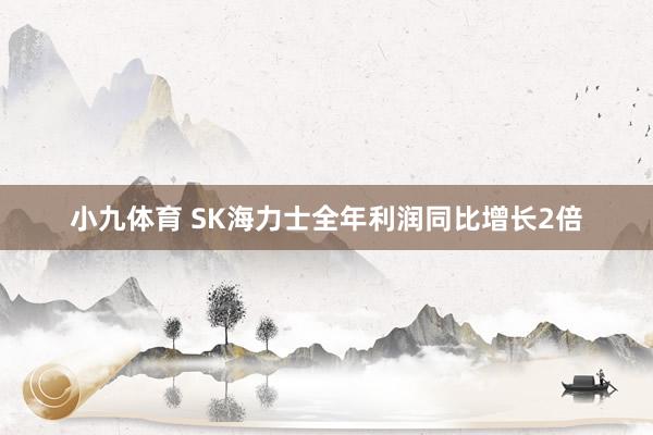小九体育 SK海力士全年利润同比增长2倍
