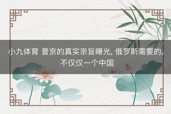 小九体育 普京的真实宗旨曝光， 俄罗斯需要的， 不仅仅一个中国
