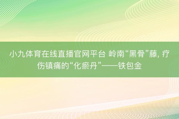 小九体育在线直播官网平台 岭南“黑骨”藤， 疗伤镇痛的“化瘀丹”——铁包金