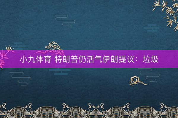 小九体育 特朗普仍活气伊朗提议：垃圾