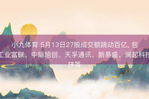 小九体育 5月13日27股成交额跳动百亿， 包括工业富联、中际旭创、天孚通讯、新易盛、澜起科技等