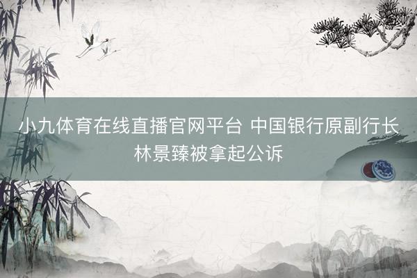 小九体育在线直播官网平台 中国银行原副行长林景臻被拿起公诉