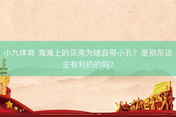 小九体育 海滩上的贝壳为啥自带小孔？是别东谈主有利扔的吗？
