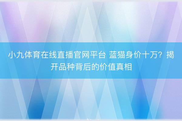 小九体育在线直播官网平台 蓝猫身价十万?揭开品种背后的价值真相