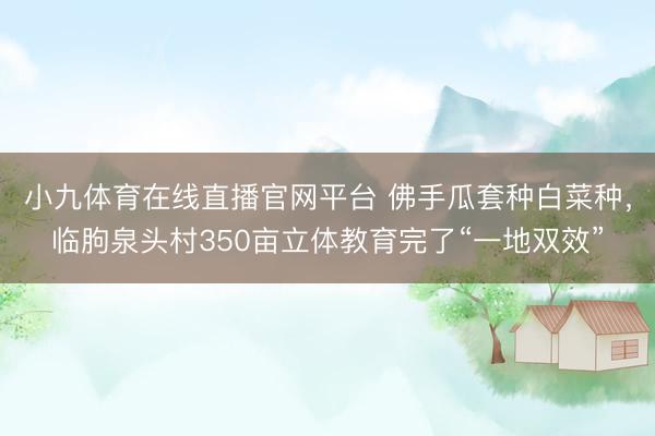 小九体育在线直播官网平台 佛手瓜套种白菜种，临朐泉头村350亩立体教育完了“一地双效”