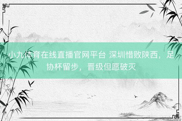 小九体育在线直播官网平台 深圳惜败陕西，足协杯留步，晋级但愿破灭