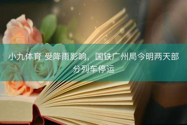 小九体育 受降雨影响，国铁广州局今明两天部分列车停运