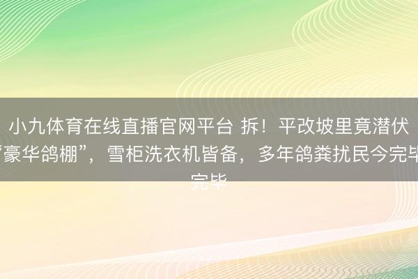 小九体育在线直播官网平台 拆！平改坡里竟潜伏“豪华鸽棚”，雪柜洗衣机皆备，多年鸽粪扰民今完毕