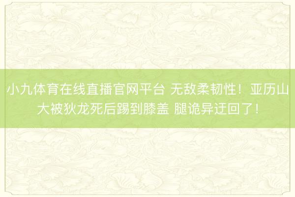 小九体育在线直播官网平台 无敌柔韧性！亚历山大被狄龙死后踢到膝盖 腿诡异迂回了！