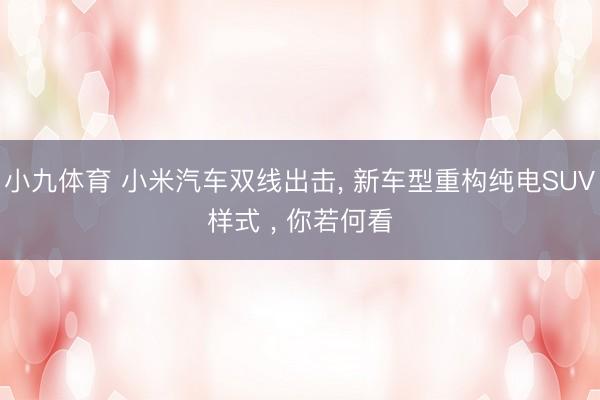 小九体育 小米汽车双线出击， 新车型重构纯电SUV样式 ， 你若何看