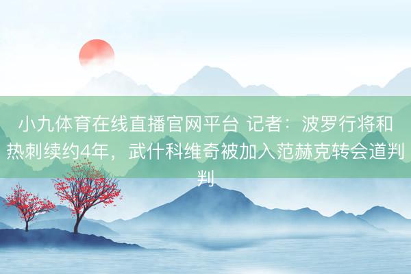小九体育在线直播官网平台 记者：波罗行将和热刺续约4年，武什科维奇被加入范赫克转会道判