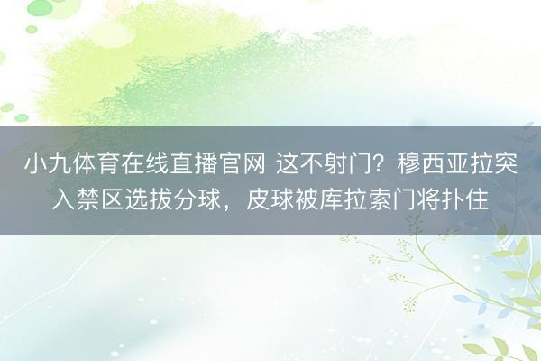 小九体育在线直播官网 这不射门?穆西亚拉突入禁区选拔分球,皮球被库拉索门将扑住