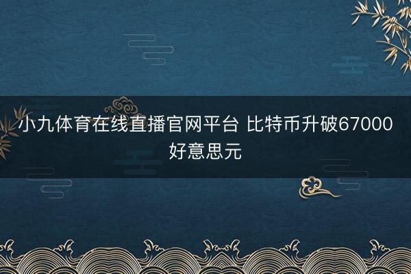 小九体育在线直播官网平台 比特币升破67000好意思元