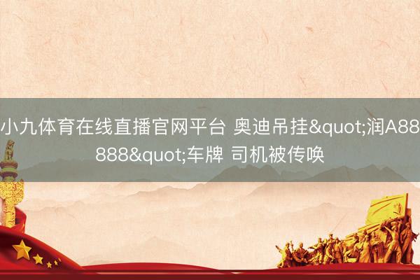 小九体育在线直播官网平台 奥迪吊挂"润A88888"车牌 司机被传唤
